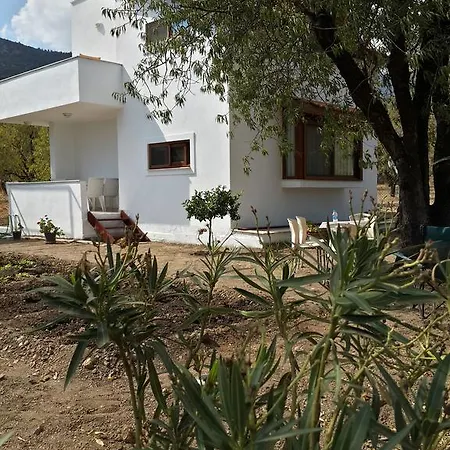 Semiz Apart Apartmán *