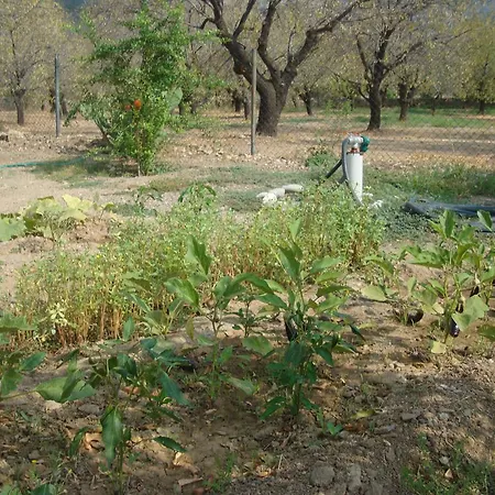 Semiz Apart * Mesudiye (Datca)